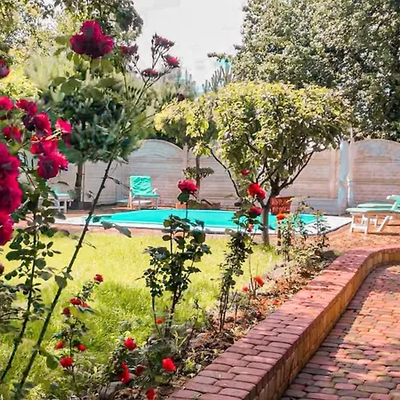 Апартаменты Vip Свалява