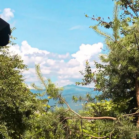 Vip * Свалява