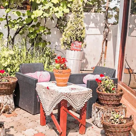 Apartment Vip Sadyba *