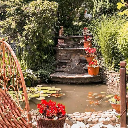 Vip Апартаменты Свалява