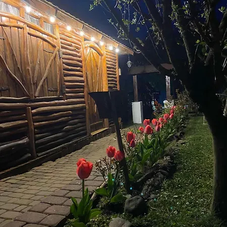 Apartment Vip Sadyba Svalyava