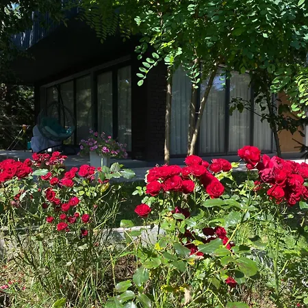 Vip Sadyba Apartment Svalyava