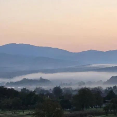 Vip * Свалява