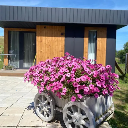 Vip Sadyba Apartment Svalyava