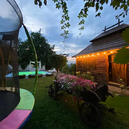 Apartment Vip Sadyba Svalyava