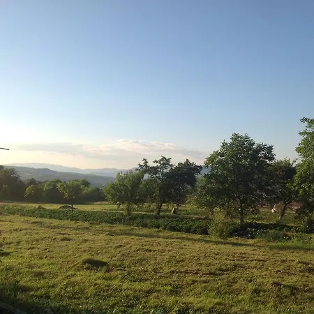 Vip Sadyba * Svalyava