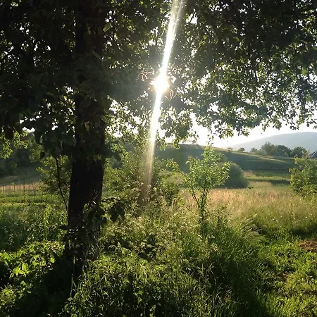 Vip Sadyba Apartment