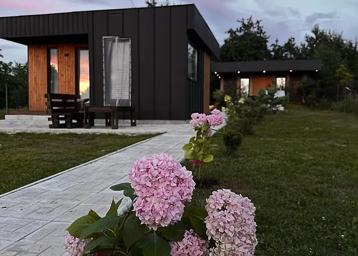 Vip Apartament
